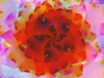 Blossom