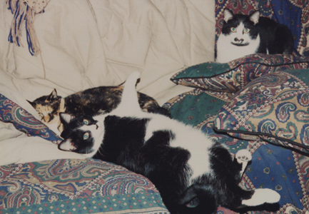 Kundry, Elizabeth and Adolf